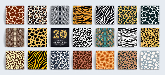 wild safari animal seamless pattern collection. vector leopard, cheetah, tiger, giraffe, zebra, snak