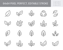 Leaf Line Icons. Vector Illustration Include Icon - Botany, Herbal, Ecology, Bio, Organic, Vegetarian, Eco, Fresh, Nature Outline Pictogram For Flora. 64x64 Pixel Perfect, Editable Stroke