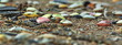 Muschel Strand Wallpaper Bildschirmschoner Slider Header Natur Meer 