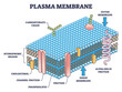 Cell membrane or cytoplasmic membrane microscopic structure outline diagram. Detailed labeled educational layer with proteins, phospholipid and carbohydrate chain elements scheme vector illustration.