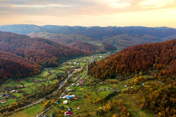 Wall Mural - Aerial view of a rural village with small houses between autumn mountain hills covered with yellow and green pine trees