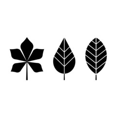 Wall Mural - Leaf icon vector on white background. Leaves thin line icon set. Autumn icon set.