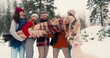 © vadim_key - Fun happy multiethnic friends hold, rock young blonde woman laughing at snowy forest Christmas vacation slow motion.