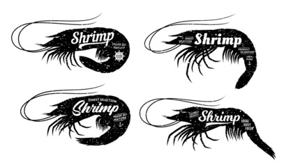 Wall Mural - Set of seafood logo templates. Shrimps with sample text. Retro styled prawn silhouettes collection