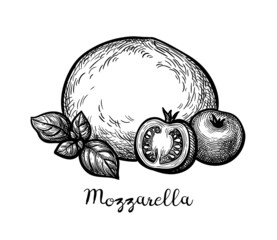 Wall Mural - ink sketch of mozzarella cheese.