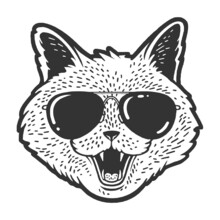 Cat Head Face In Sunglasses Sketch Engraving Vector Illustration. T-shirt Apparel Print Design. Scratch Board Imitation. Black And White Hand Drawn Image.