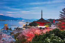 Miyajima Island, Hiroshima, Japan In Spring
