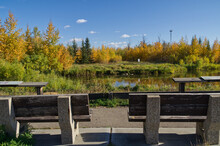 Park Benches At Pylypow Wetlands