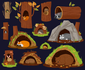 Canvas Print - Cartoon woodland animals sleeping inside burrow, hollow, nest. Forest animals resting or hibernate, cute racoon, fox and beaver vector illustration set. Wood animals houses