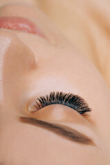 Wall Mural - Eyelash Extension Procedure. Woman Eye with Long Eyelashes. Close up, selective focus.