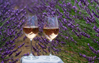 Summer in French Provence, cold gris rose wine from Cotes de Provence and colorful lavender fields on Valensole plateau, tastes and aromas of Provence, France