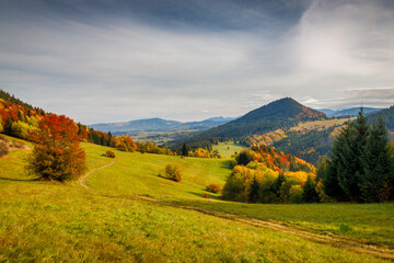 Wall Mural - Autumn landscape with brightly colored trees and hills in the background. Orava region in northern Slovakia, Europe.