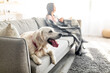 Adorable dog sitting on couch, his female owner cuddling in warm plaid with cup of coffee indoors, selective focus