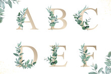 Watercolor Floral Alphabet Set Of A, B, C, D, E, F With Hand Drawn Foliage