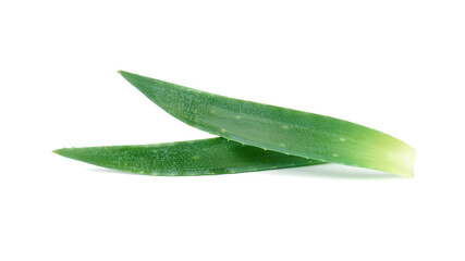 two fresh aloe vera leaves isolated on white