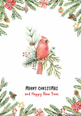 Wall Mural - watercolor vector christmas a card with the cardinal bird and fir branches.