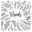 Floral doodle rustic design elements. Sketch and line boho plants. Vector botanical collection of branches and flowers for DIY projects, invitations, cards.