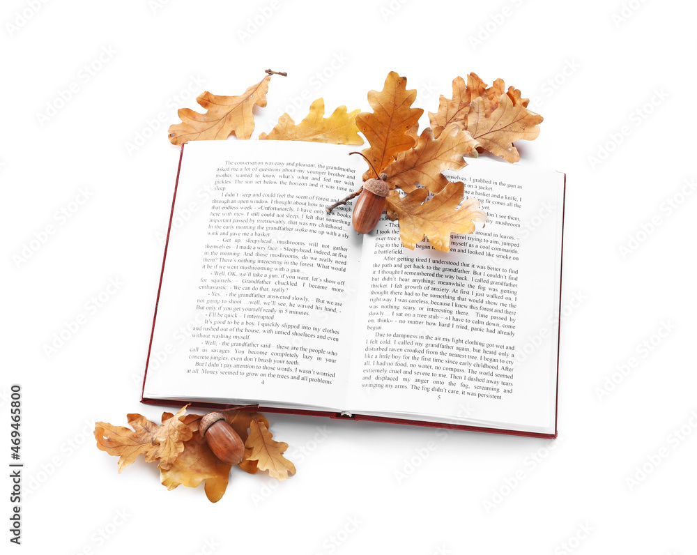 Open book with dried oak leaves and acorns on white background