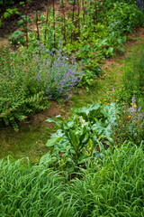 Wall Mural - Organic nature landscape, rural environment and healthy food.