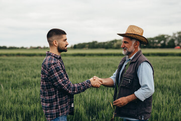 Wall Mural - business people handshake outdoor on field