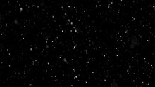 slow falling snow on the black backgrounds
