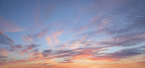 Wall Mural - sunset background with p9ink and purple clouds in stripes and blue sky
