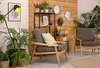 Poster - Stylish room interior with beautiful green plants and comfortable furniture