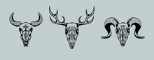 Set Of Animal's Skulls: Deer, Ram, Goat.