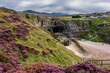 © robertharding - Purple heather on the cliffs above Smoo Cave near Durness which has one of the largest sea cave entrances in Britain, Durness, Highlands, Scotland