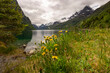 © robertharding - Dandelions and snow-capped mountains surround Briksdal Lake, Stryn, Vestland, Norway, Scandinavia