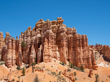 A View Of The Hoodoos From The Fairyland Trail In Bryce Canyon National Park, Utah
