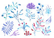 Watercolor image of a branch in blue. Branches on a white background.