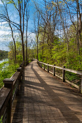  Serene boardwalk through a natural wilderness encouraging outdoor recreation