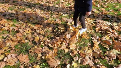 Wall Mural - Happy little girl running through autumn park. Sunny  day . Cheerful child in nature.