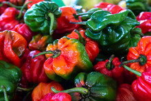 Multi-coloured Scotch Bonnet Peppers, Or Capsicum Chinenses, At A Farmer's Market In Trinidad And Tobago. Red, Green, Orange, Yellow, Christmas Colours, Spicy Hot Flavours, Vegetable Pile. 