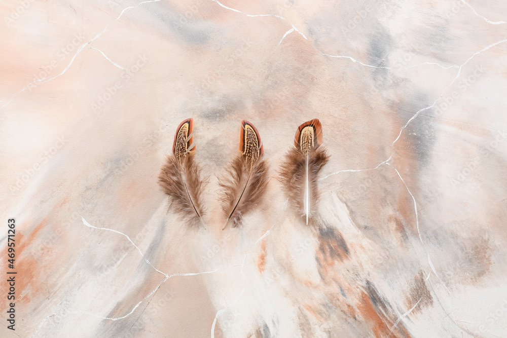 Beautiful pheasant feathers on grunge background
