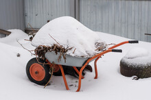 A Garden Wheelbarrow Littered With Old Leaves And Snow