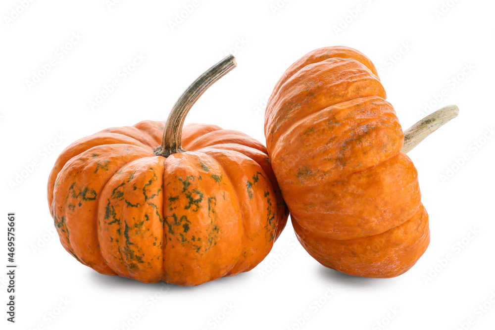 Fresh pumpkins isolated on white background