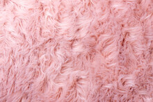 Pink Fur Texture Top View. Pink Sheepskin Background. Fur Pattern. Texture Of Pink Shaggy Fur. Wool Texture. Sheep Fur Close Up