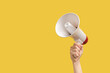 © Nikolay - Megaphone in woman hands on a yellow background.