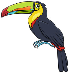 toucan bird animal character cartoon illustration