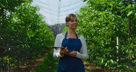 Wall Mural - Woman farmer with tablet monitoring cultivation of green organic trees in farm