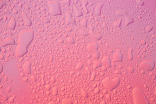 Pink Background Covered With Waterdrops. Purple Droplets Abstract. 
