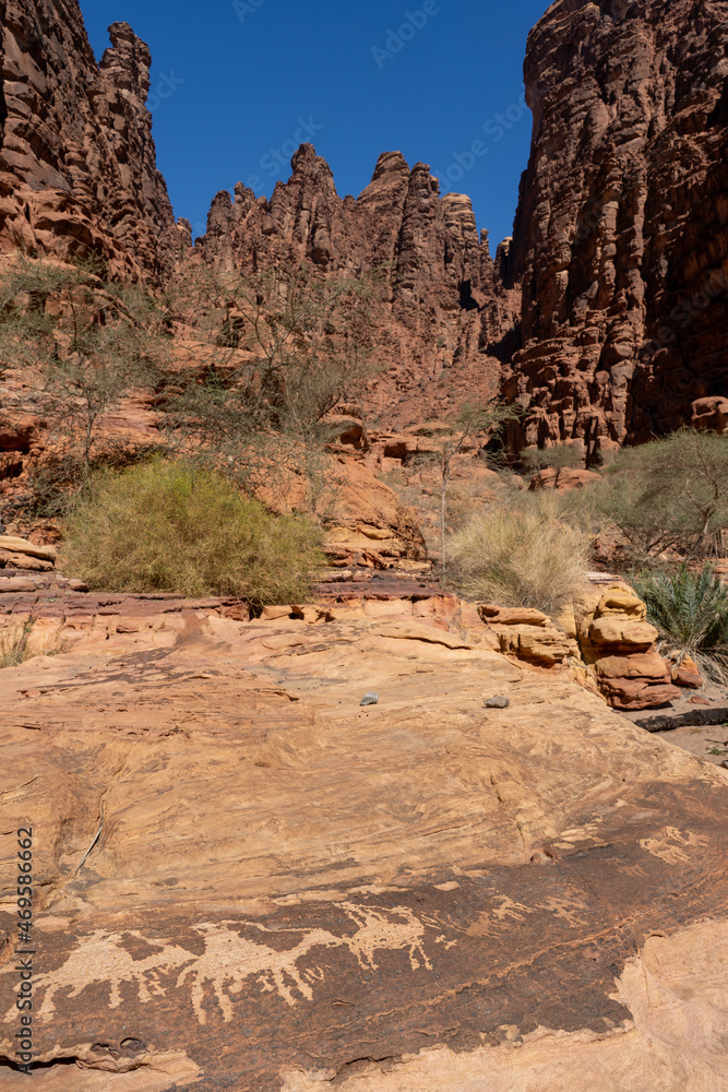 Ancient rock paintings in the sandstone canyon of Wadi Al Disah (Valley