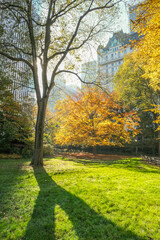 Canvas Print - autumn in the park