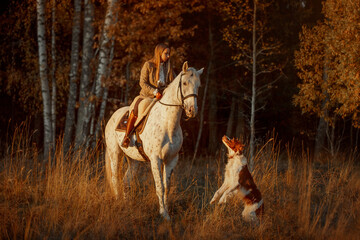 Beautiful young woman in English hunter wear style with Knabstrupper horse and Irish setter at autumn park