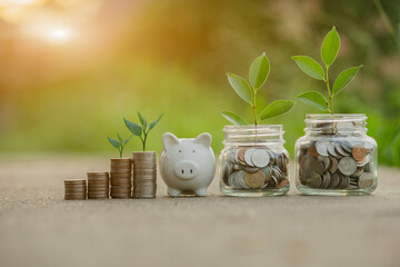 Saving money by hand puting coins in jug glass on nature background