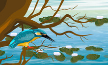 A Kingfisher Sits On A Tree Branch Above A Pond With Large White Water Lilies. Kingfisher Hunting. Coastal Vegetation And Wild Birds. Realistic Vector Landscape