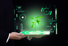 Biotechnology Science And Medicine Background, Hands Hold A Tablet With A Picture Of Green Light Plants And Digital Laboratory Research