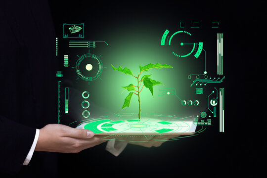Wall Mural - biotechnology science and medicine background, hands hold a tablet with a picture of green light plants and digital laboratory research